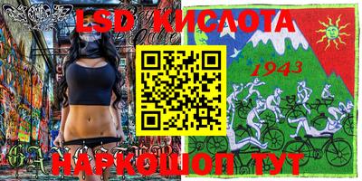 индика Сланцы