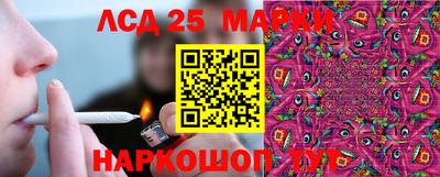 индика Сланцы