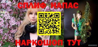 индика Сланцы