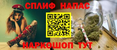 индика Сланцы