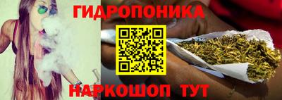 индика Сланцы