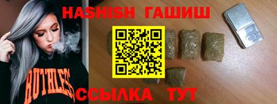 индика Сланцы