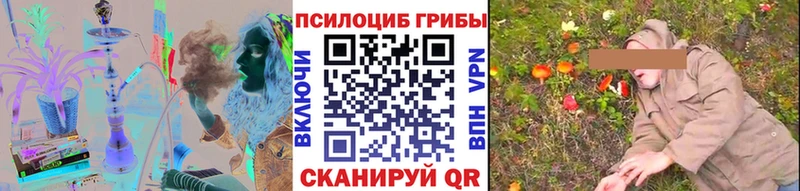 где можно купить   Североуральск  Псилоцибиновые грибы Psilocybine cubensis 